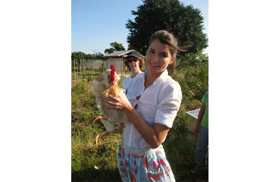 Julie-Chicken-2