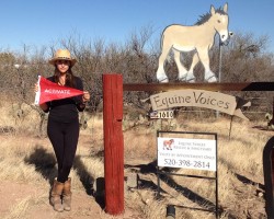 Equine-Voices-3