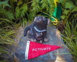 Activate-Australia--Tasmanian-Devil